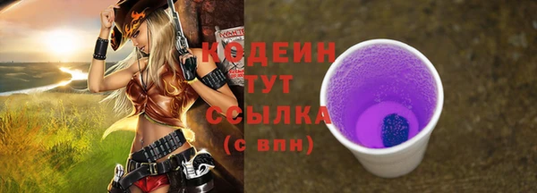 гашик Бронницы