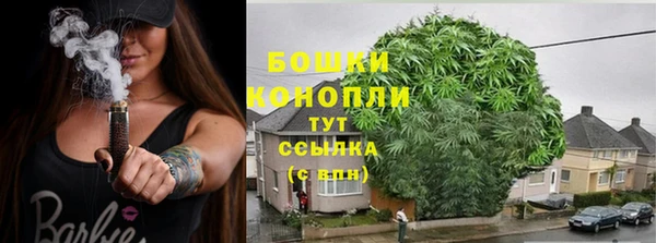 гашик Бронницы