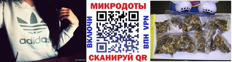 Псилоцибиновые грибы мицелий  Вольск 