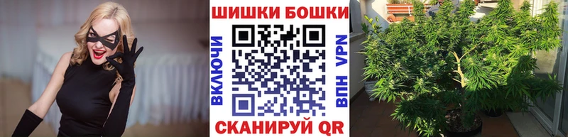 где можно купить наркотик  Вольск  Каннабис Bruce Banner 